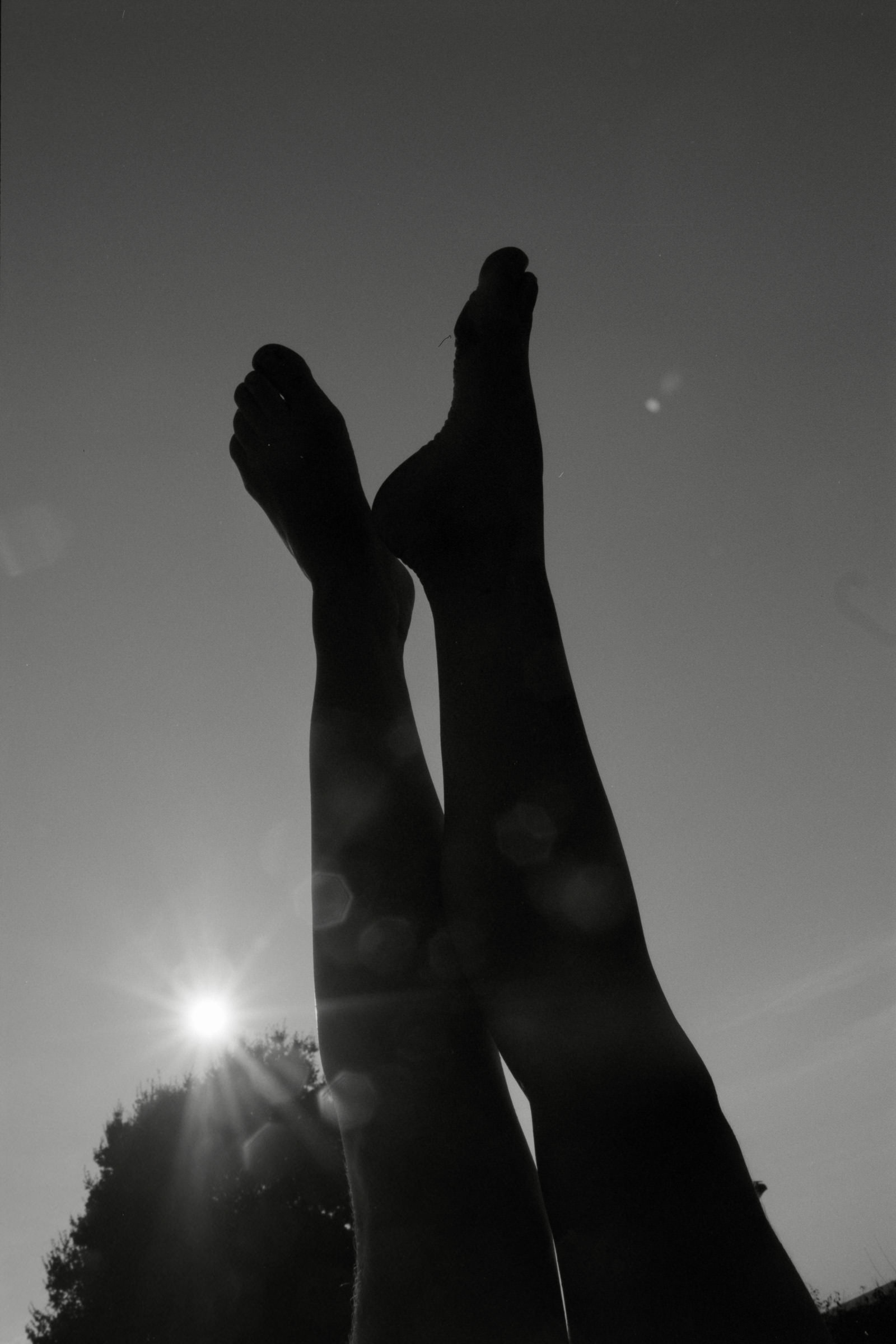 AHP F1990 09 007 sc250506 img09 NLP